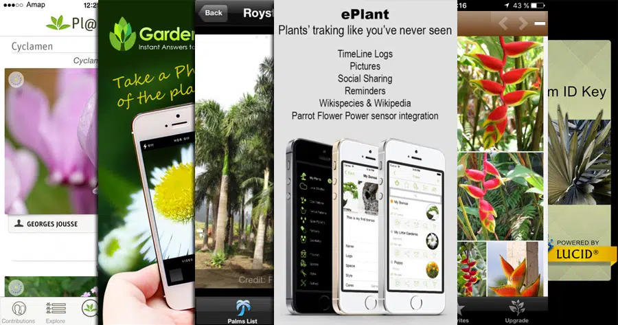 Free apps for plants’ freaks
