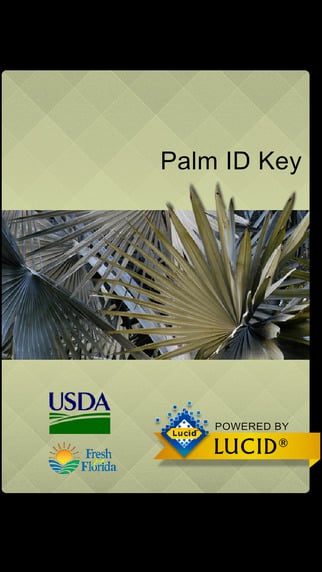 Palm ID screen print