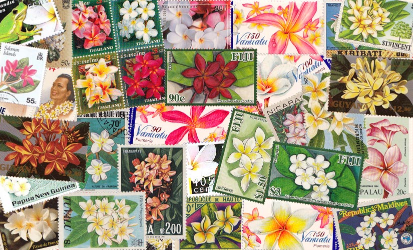Plumeria stamps collection