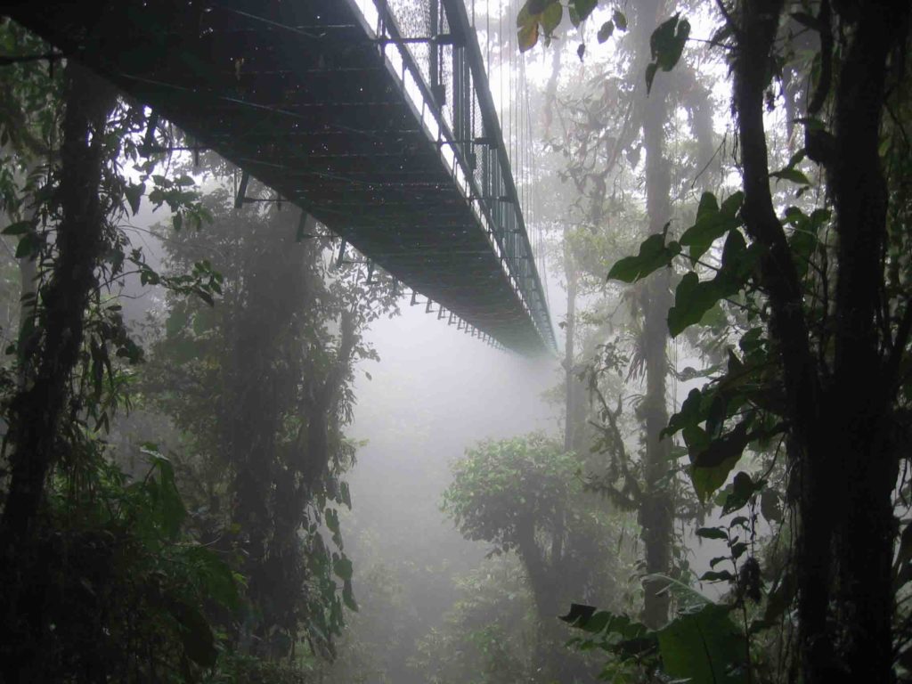 Costa Rica cloud forest