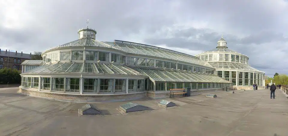 Greenhouses of the world: Copenhagen Palm House
