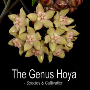 The Genus Hoya book