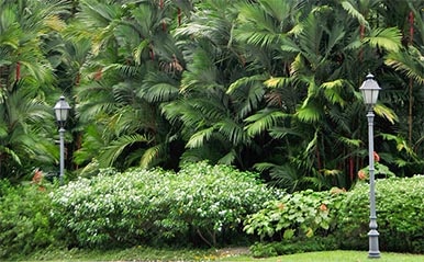 BOTANICAL GARDENS AND GREEN HOUSES