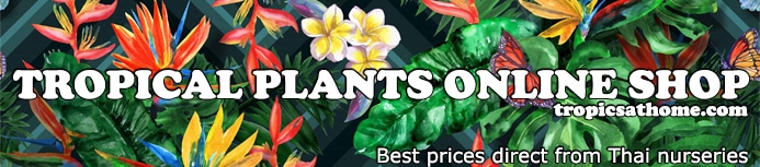 Tropical Plants Online Shop