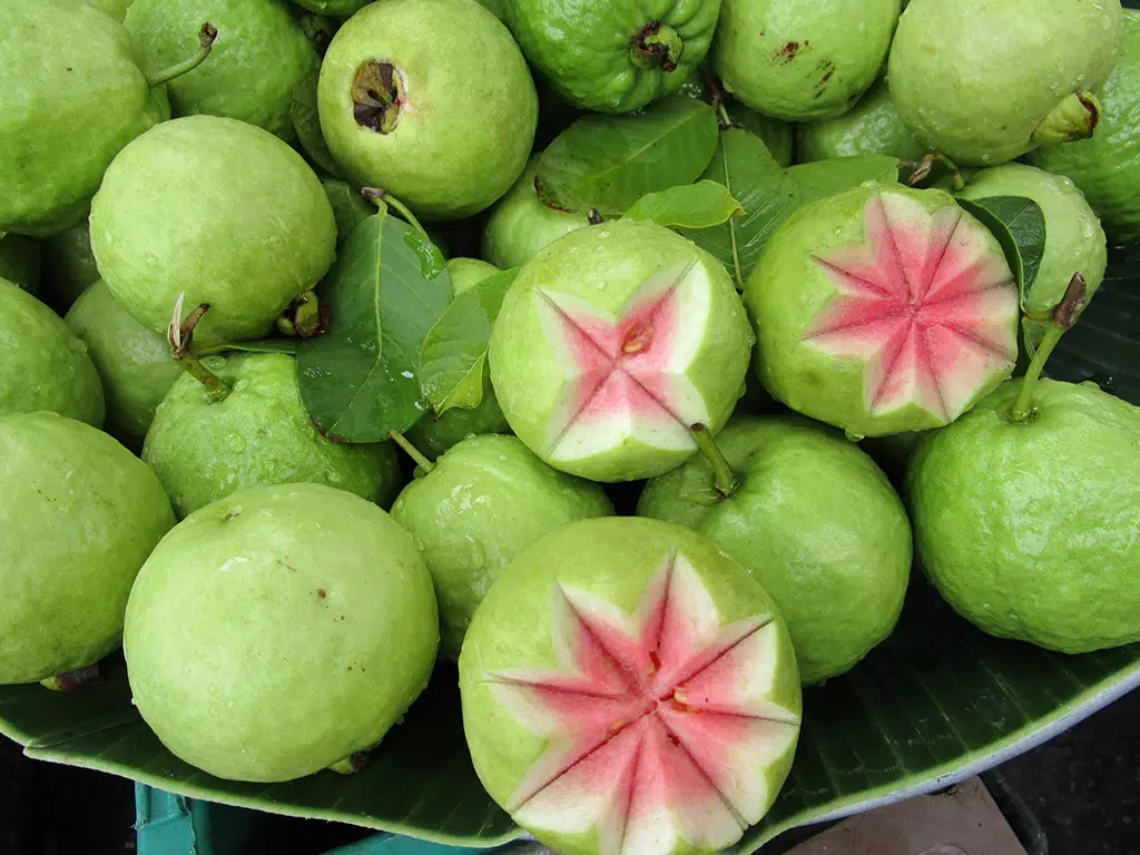 Pink guava fruits