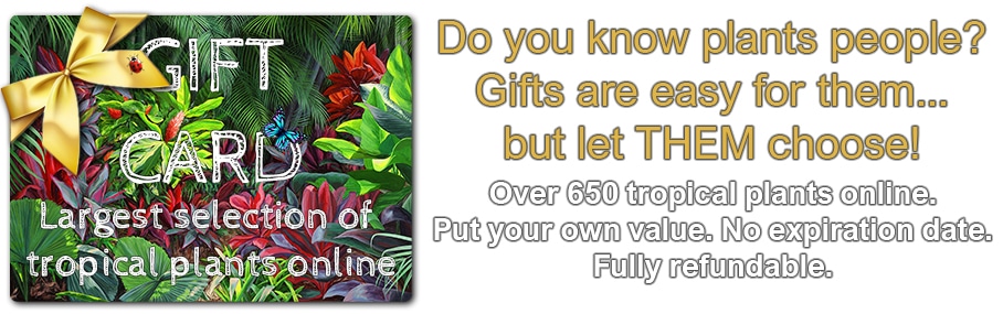 Tropical plants shop gift card