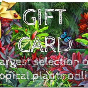 Tropical plants online shop gift card