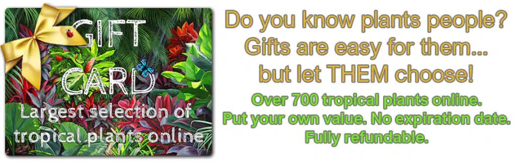 Gift card for plants store