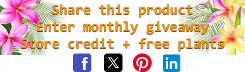 Share and Win Monthly Giveaway