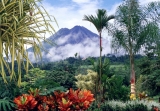 Costa Rica botanical travel guide for plant lovers